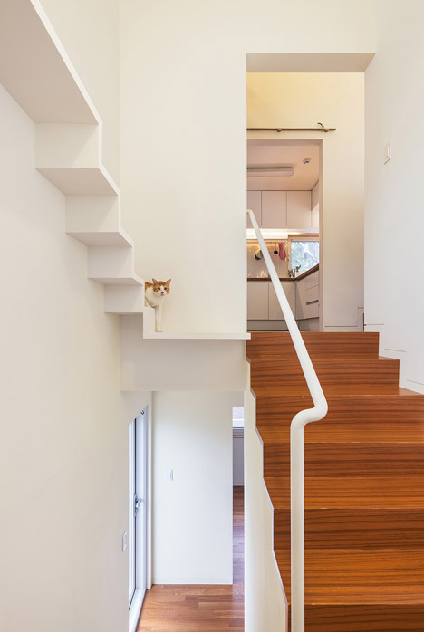Gato sobre su propia escalera que le lleva a su propio loft en una casa de los arquitectos OBBA.