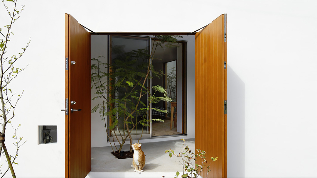 Cat in the open door of the Inside-out house in Tokio, a house for cats and humans to live together.