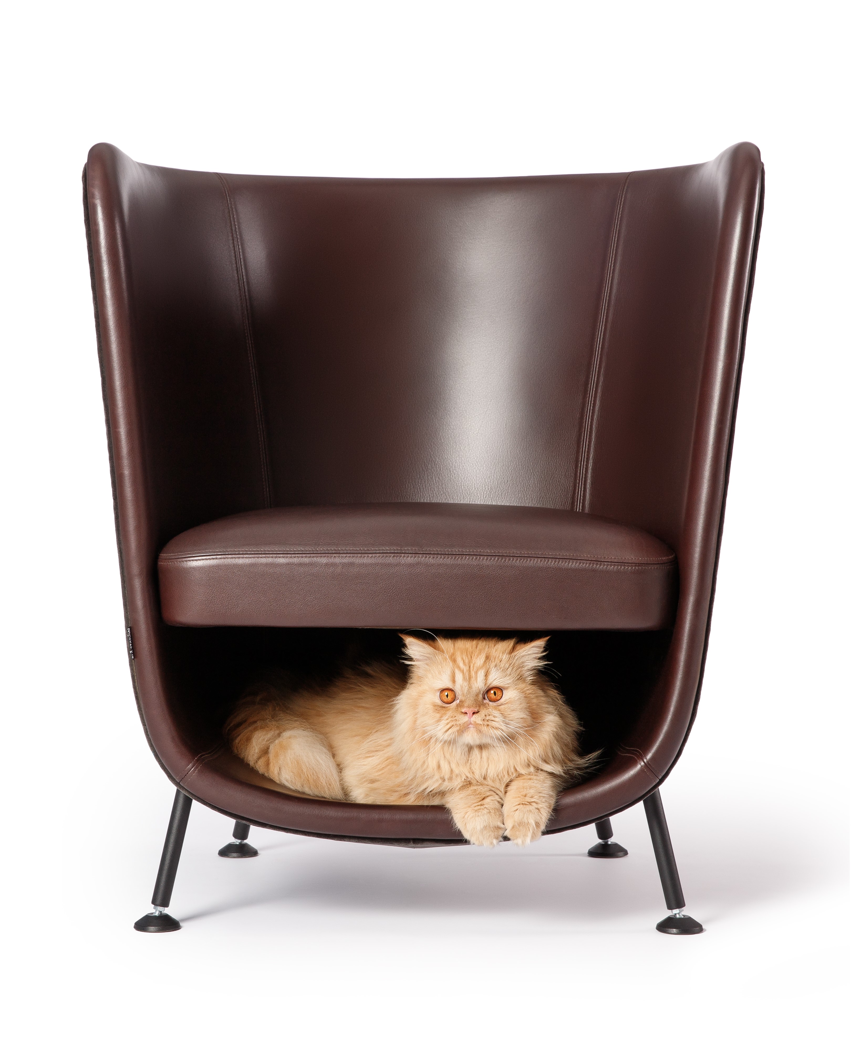 mueble para gato y humano  pocket chair  the cat design po