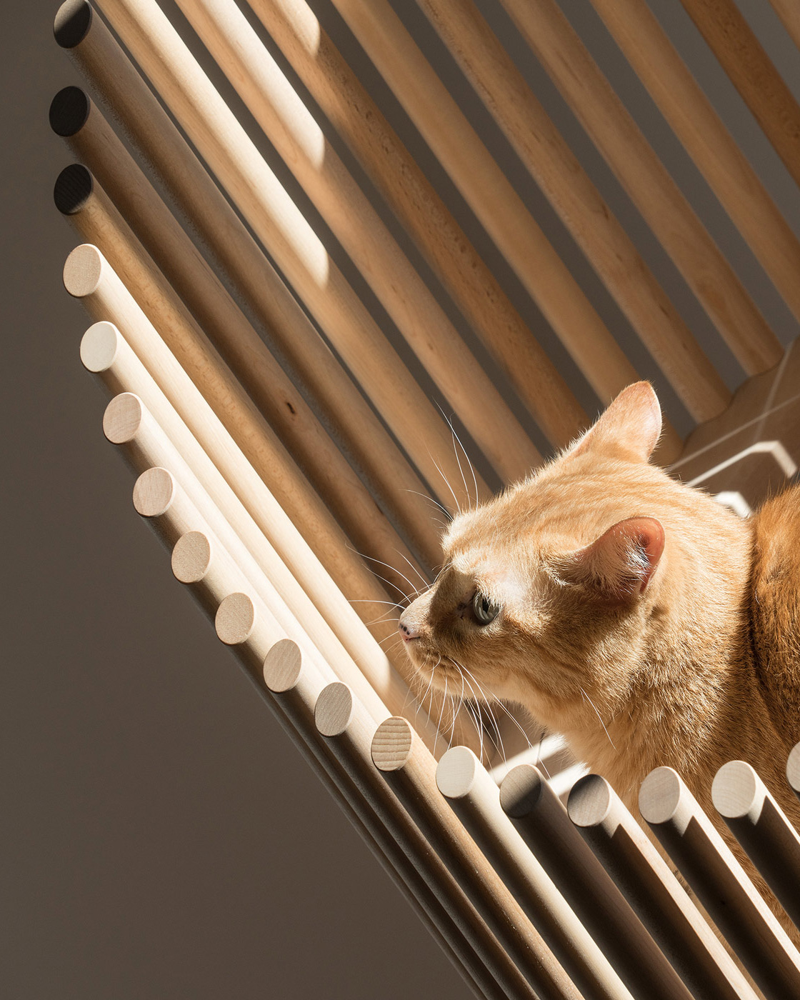 little whiskers cat trees